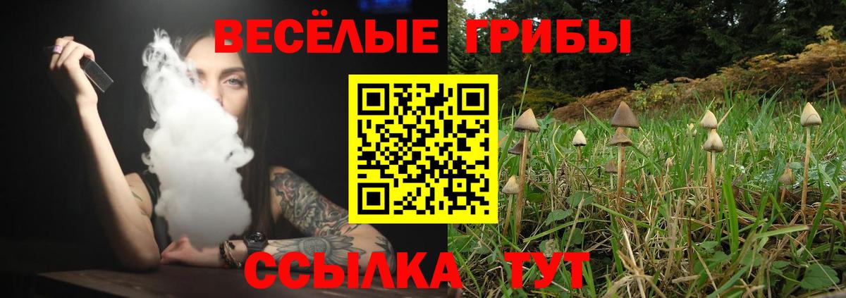 Псилоцибиновые грибы GOLDEN TEACHER Тулун