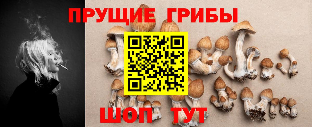 Тулун  Галлюциногенные грибы MAGIC MUSHROOMS  Вход с VPN 